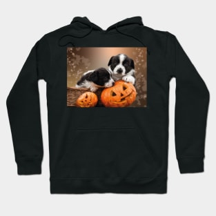 Pumpkin Puppies Hoodie